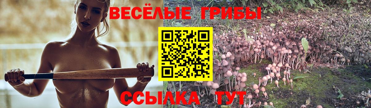 Галлюциногенные грибы мухоморы  Вход с VPN  Чистополь  Псилоцибиновые грибы GOLDEN TEACHER 
